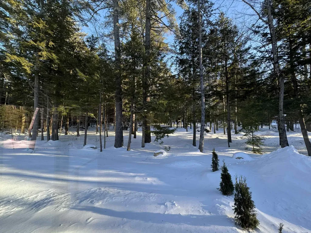 175 Dix Street Bristol NH 03222