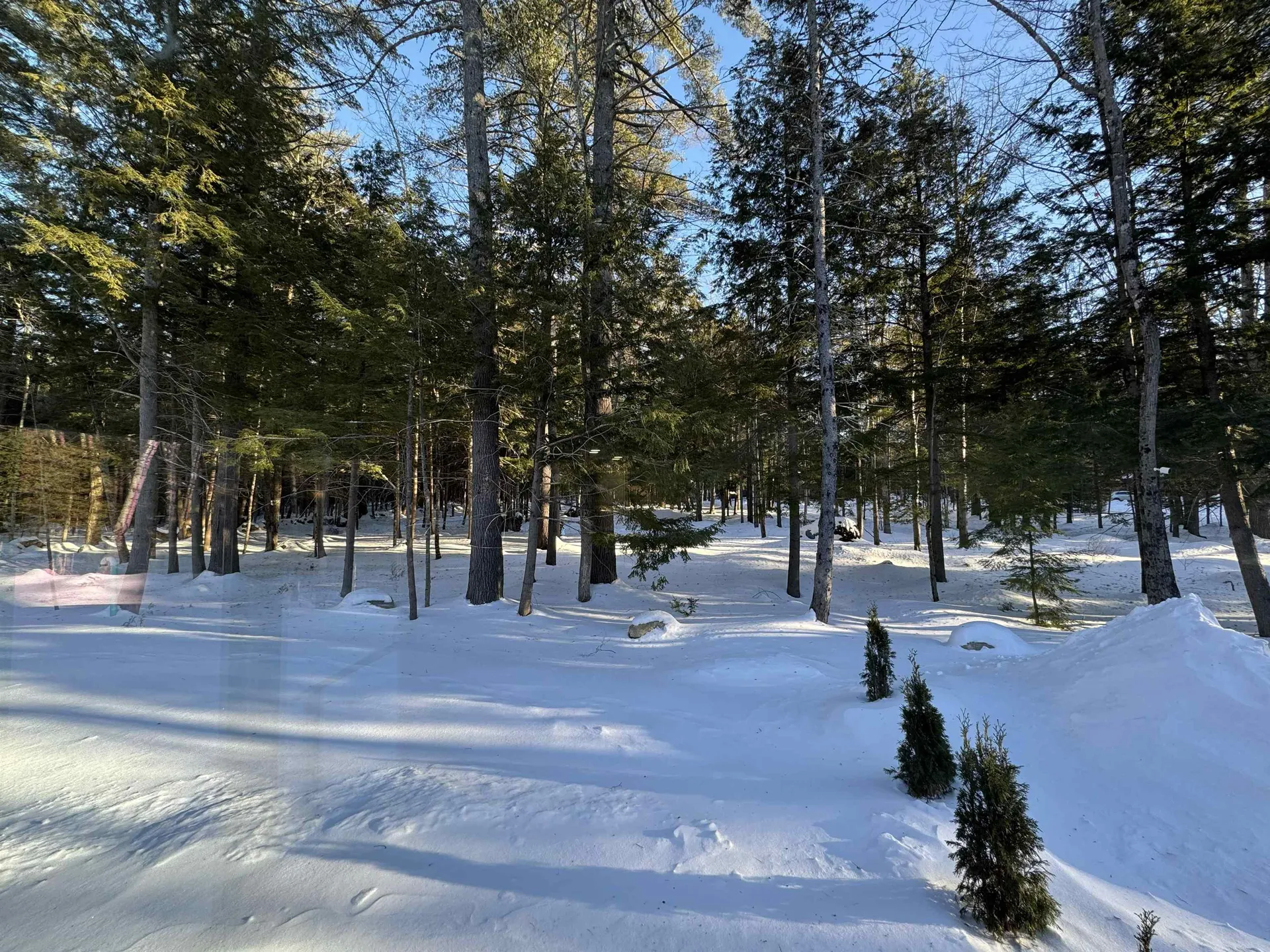 175 Dix Street Bristol NH 03222