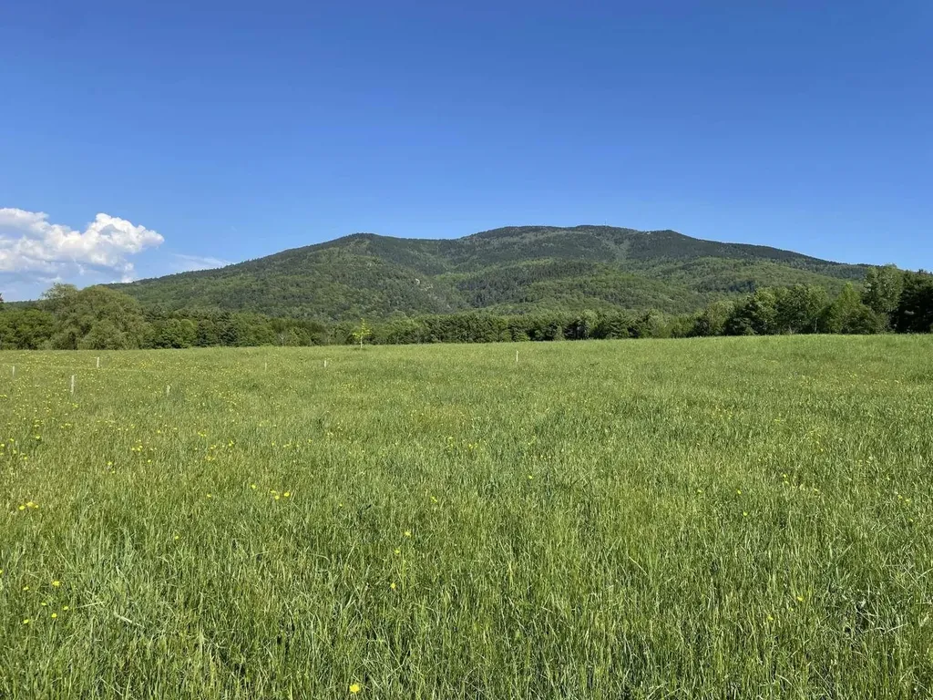 83 Coaching Lane West Windsor VT 05037