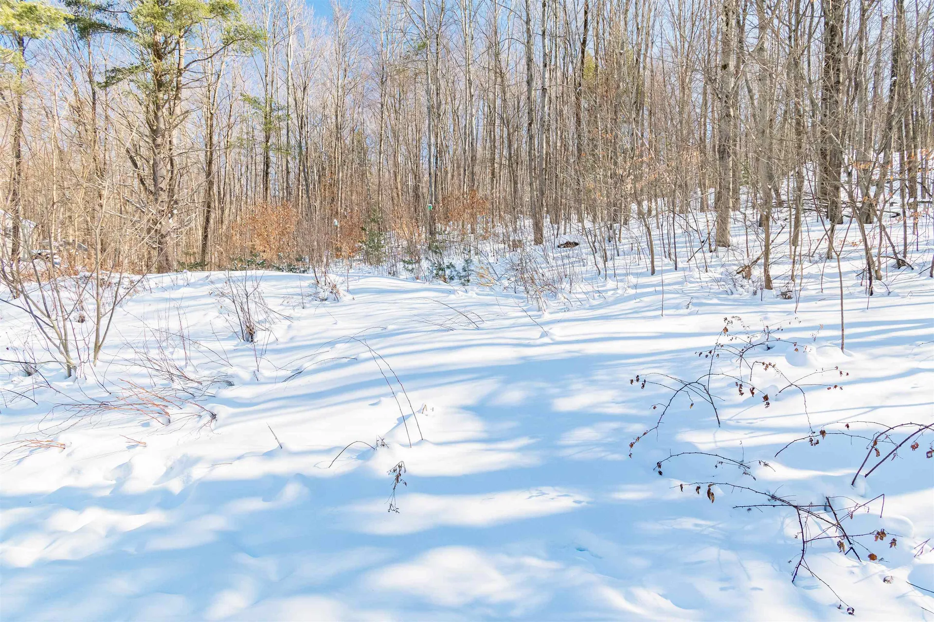 939 Osgood Hill Road Westford VT 05494