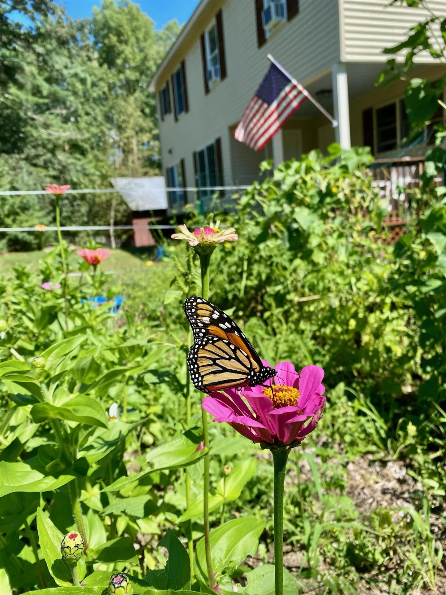 44 Buttercup Lane Antrim NH 03440