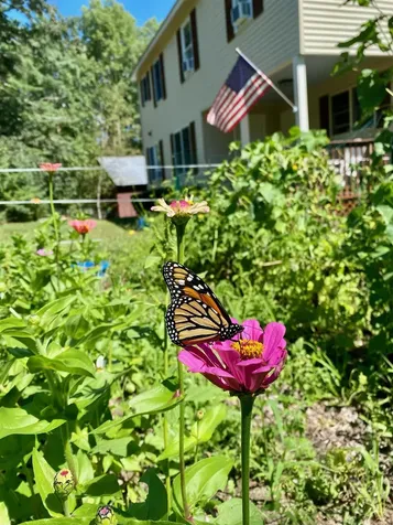 44 Buttercup Lane Antrim NH 03440