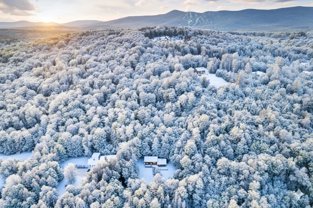 11 Waldwinkle Road Dover VT 05356