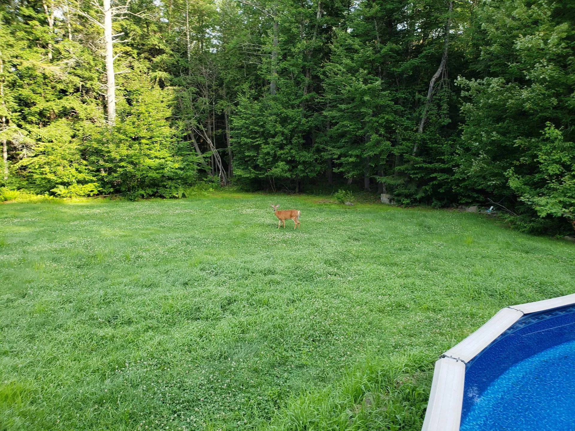 9 Norton Woods Drive Newmarket NH 03857