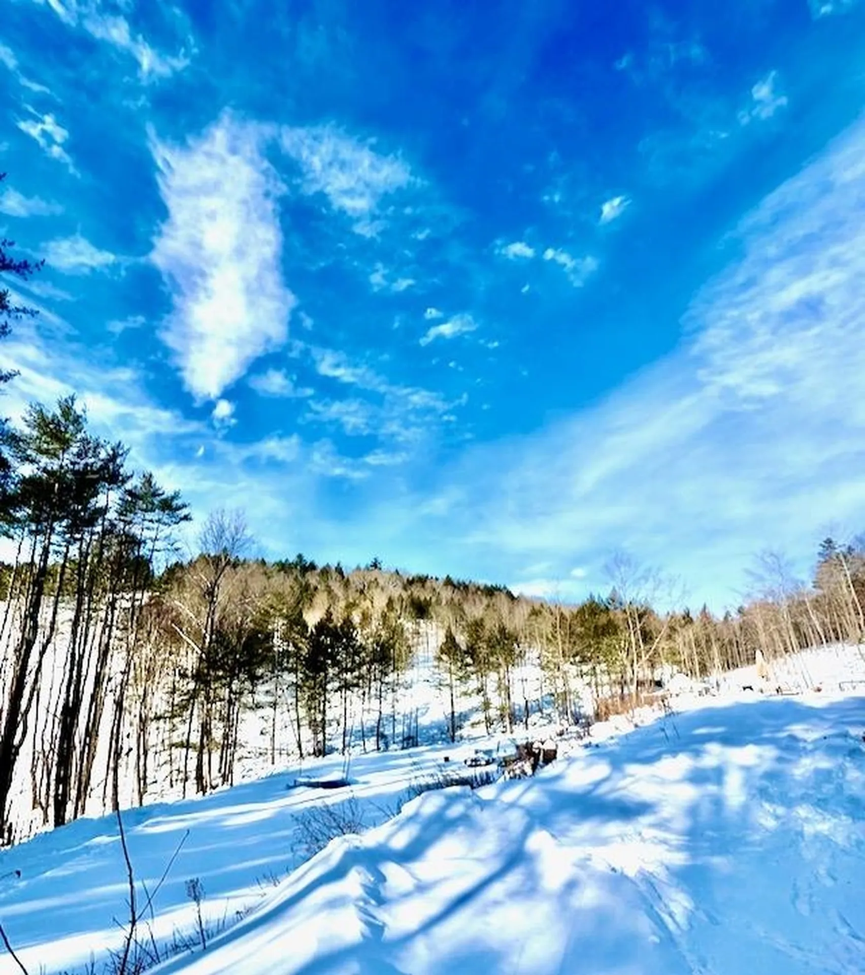 266 Tory Hill Road Langdon NH 03602