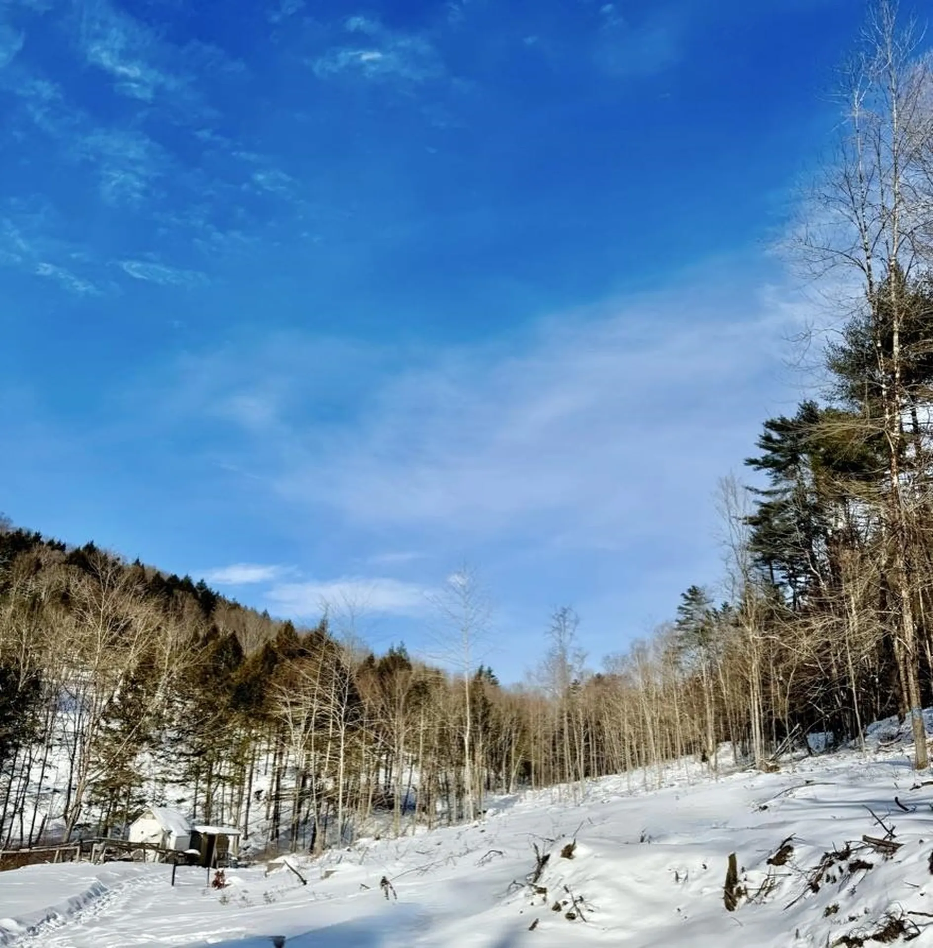 266 Tory Hill Road Langdon NH 03602