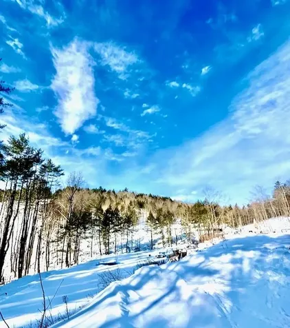 266 Tory Hill Road Langdon NH 03602