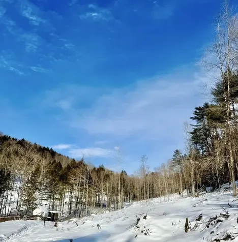 266 Tory Hill Road Langdon NH 03602