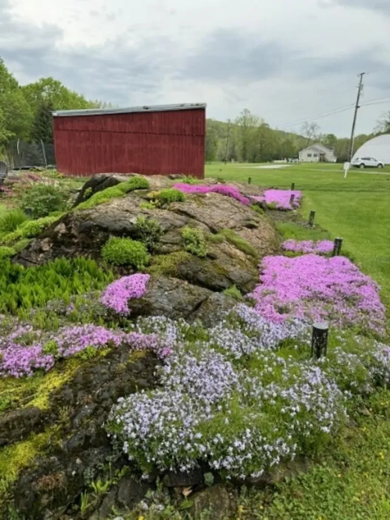 11 Beach Road Milton VT 05468