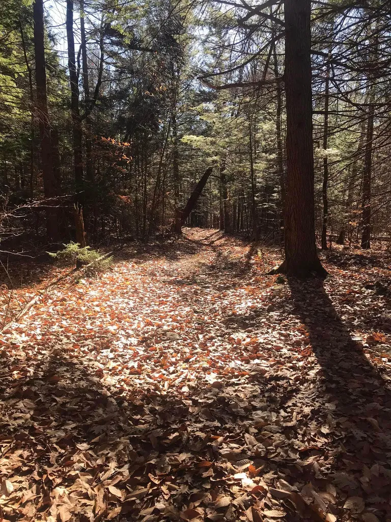 154 Manley Hill Road West Fairlee VT 05045