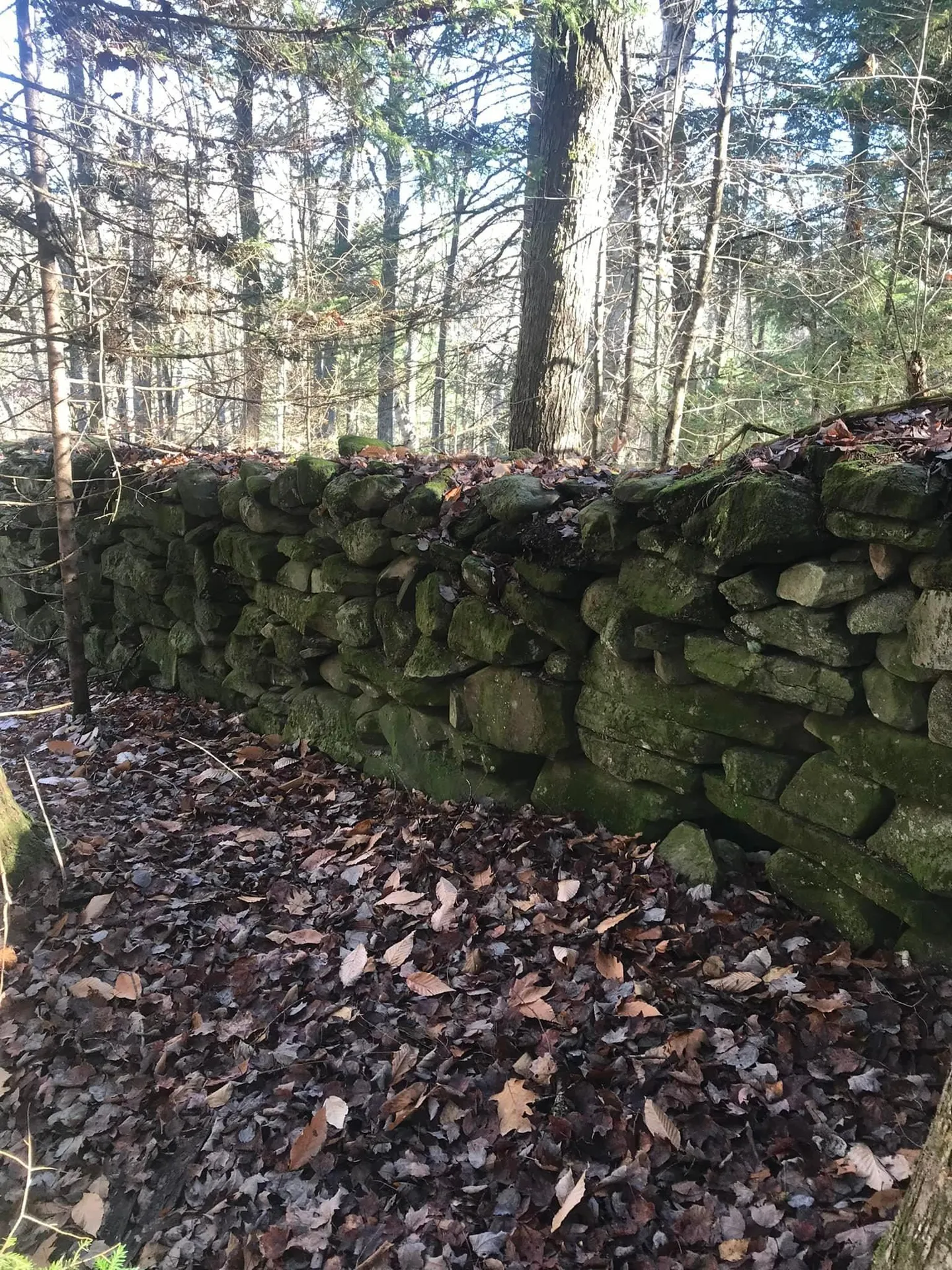 154 Manley Hill Road West Fairlee VT 05045