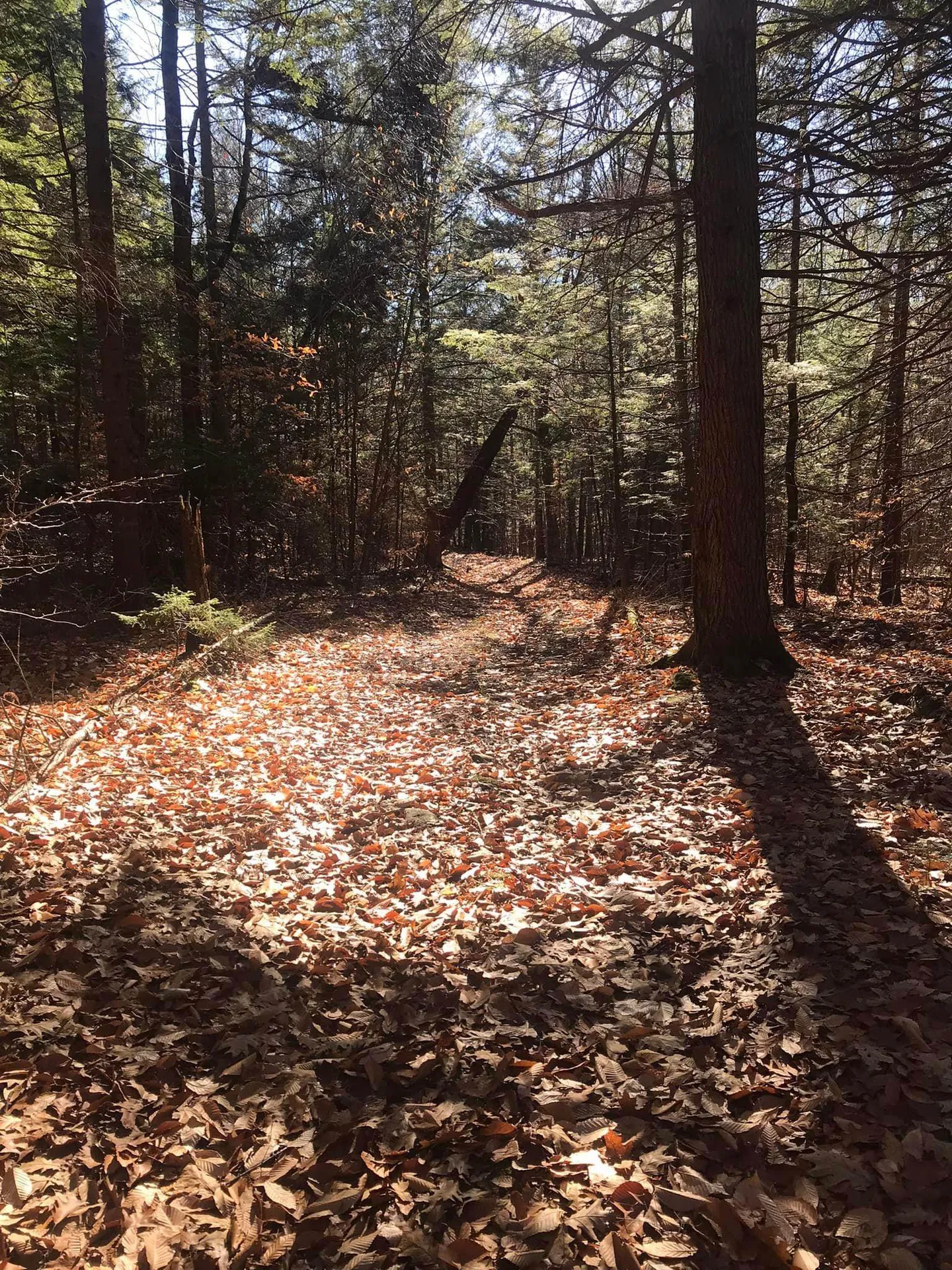 154 Manley Hill Road West Fairlee VT 05045