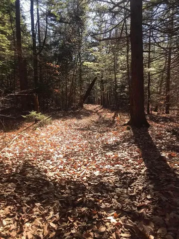 154 Manley Hill Road West Fairlee VT 05045