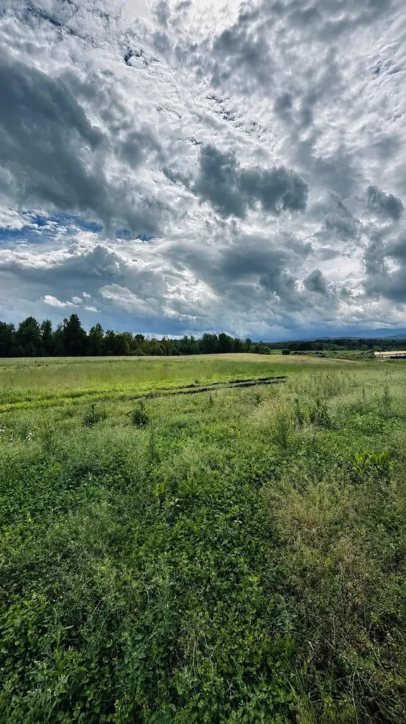 972-A Fitzgerald Road Morristown VT 05661