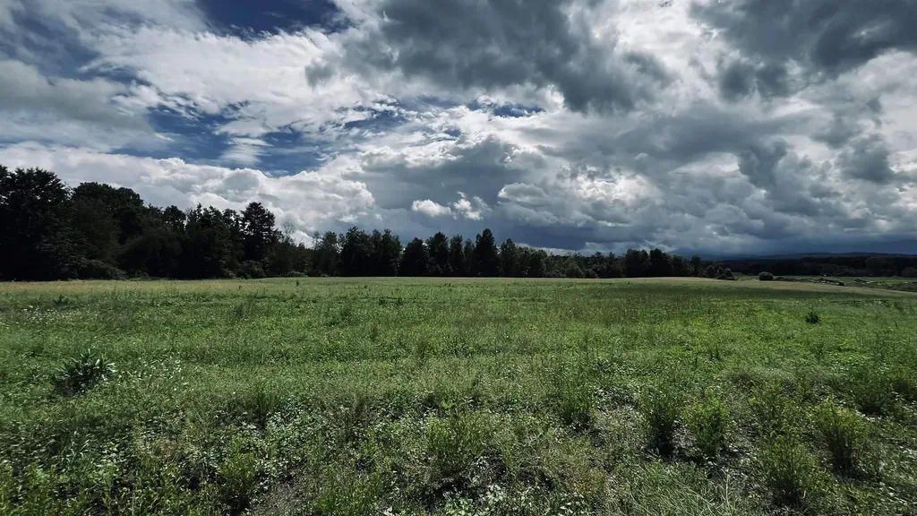 972-A Fitzgerald Road Morristown VT 05661