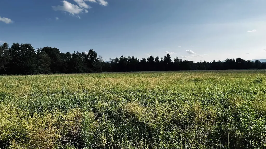 972-A Fitzgerald Road Morristown VT 05661