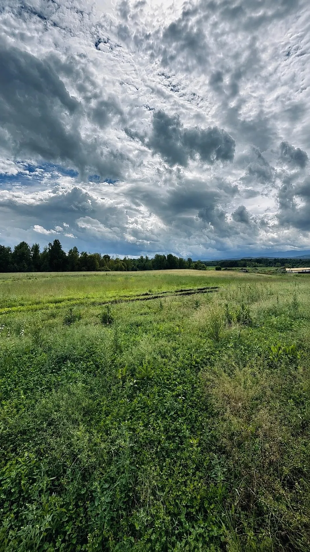 972-A Fitzgerald Road Morristown VT 05661