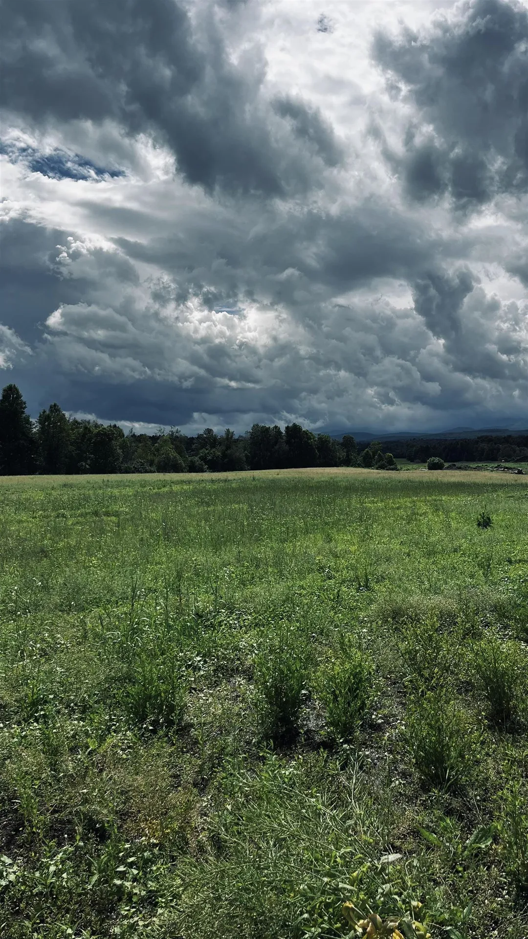 972-A Fitzgerald Road Morristown VT 05661