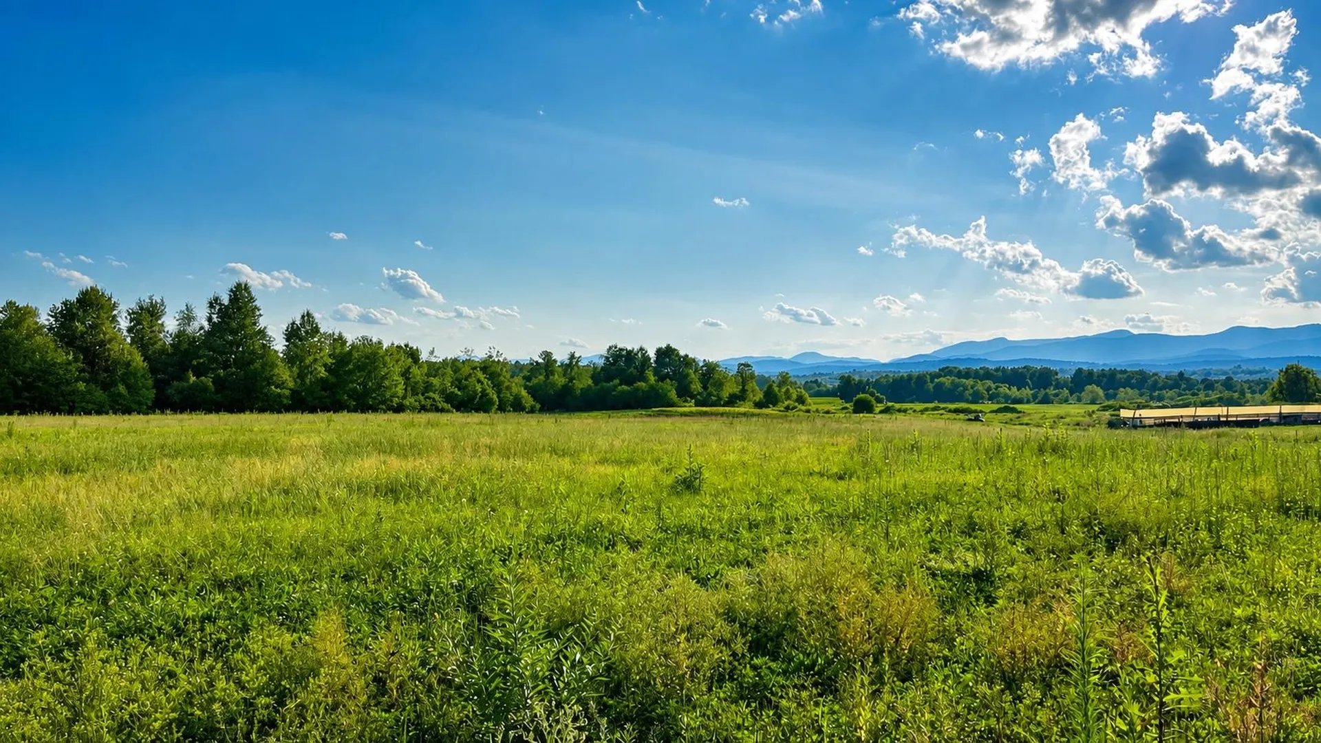 972-A Fitzgerald Road Morristown VT 05661