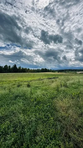 972-A Fitzgerald Road Morristown VT 05661