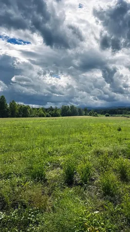 972-A Fitzgerald Road Morristown VT 05661