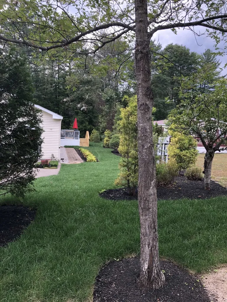 15 Lighthouse Lane Conway NH 03860