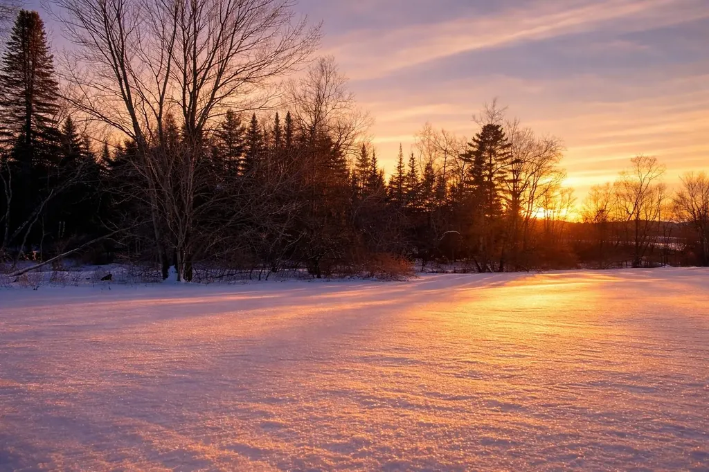 972 Fitzgerald Road Morristown VT 05661