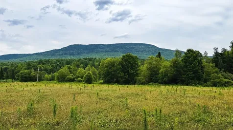 972-C Fitzgerald Road Morristown VT 05661