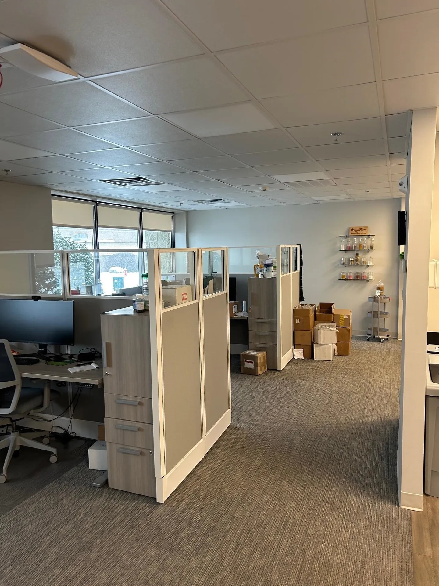 8 Delta Drive Londonderry NH 03053