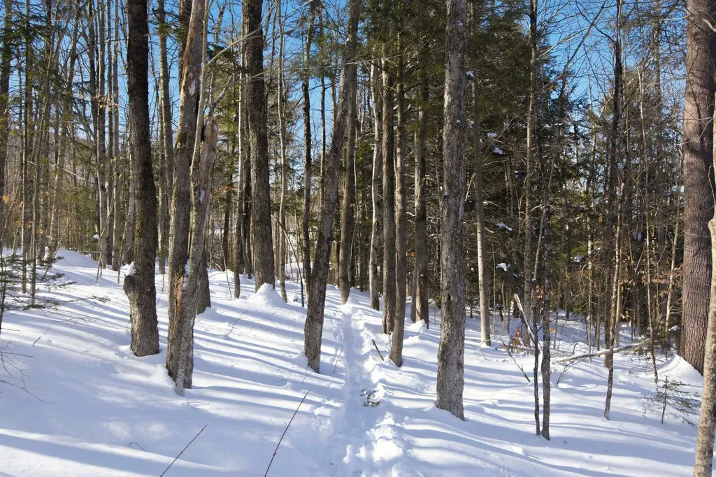 32 Deckmans Road Danbury NH 03230