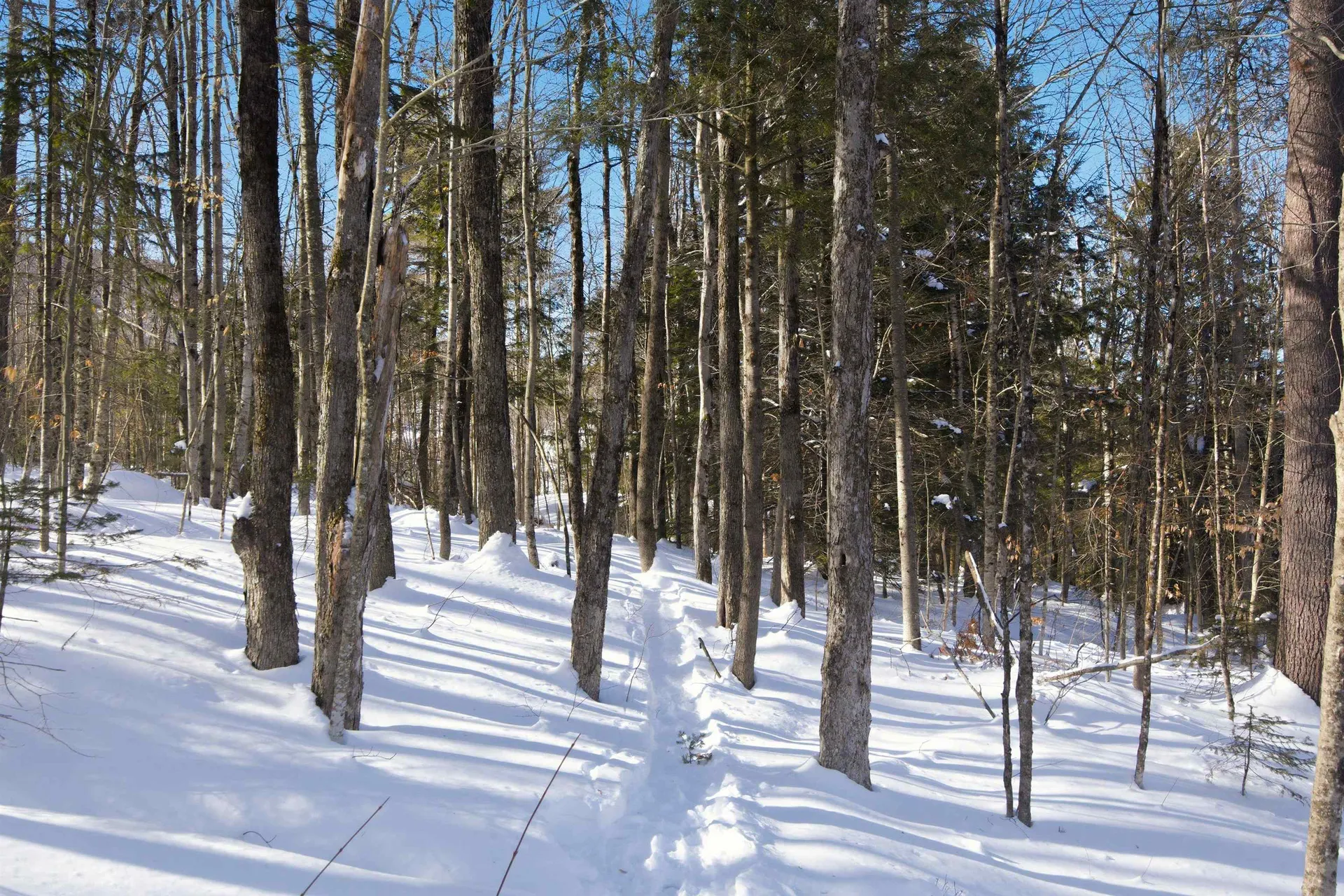 32 Deckmans Road Danbury NH 03230