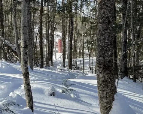 32 Deckmans Road Danbury NH 03230