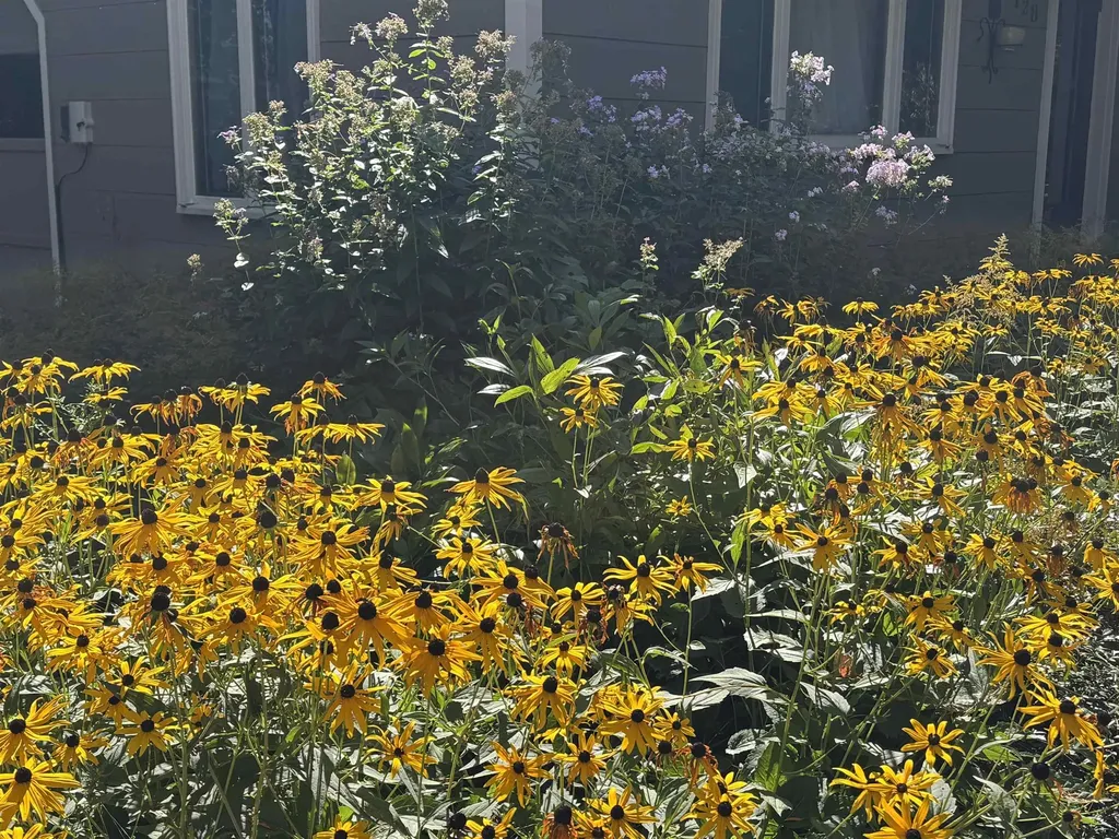 128 Upper Pines Road Warren VT 05674