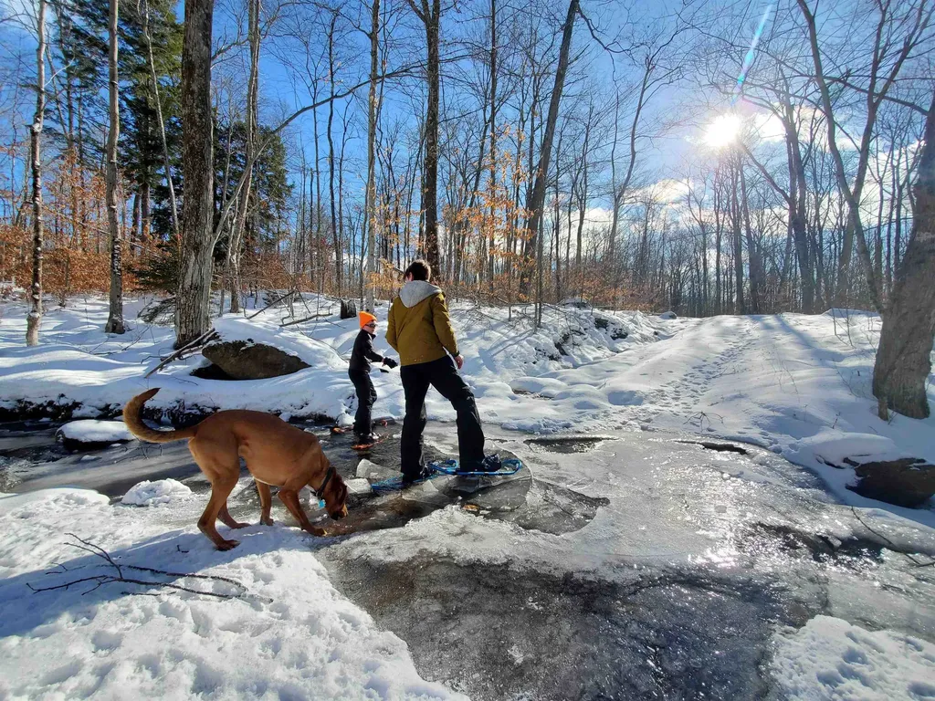 882 Mitchell Road Shrewsbury VT 05738