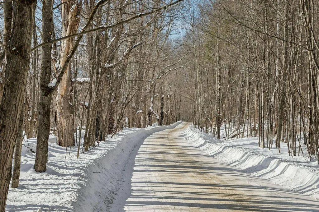 882 Mitchell Road Shrewsbury VT 05738