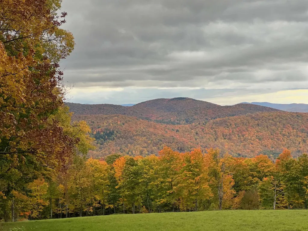 882 Mitchell Road Shrewsbury VT 05738