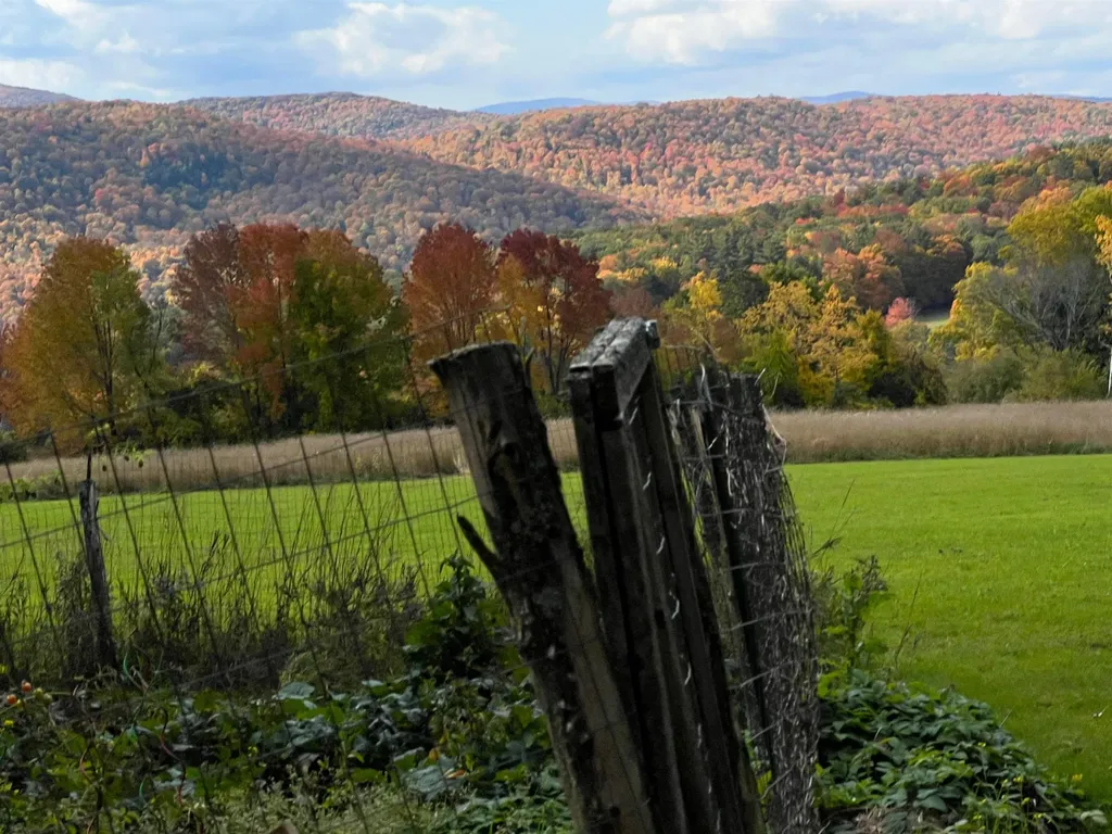 882 Mitchell Road Shrewsbury VT 05738