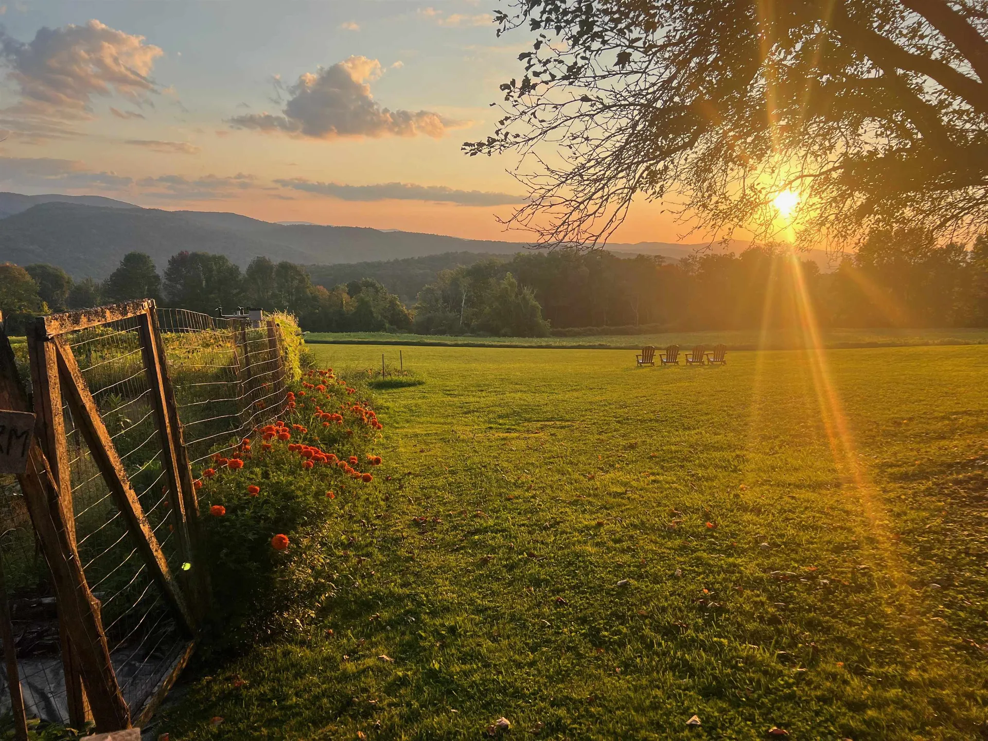 882 Mitchell Road Shrewsbury VT 05738