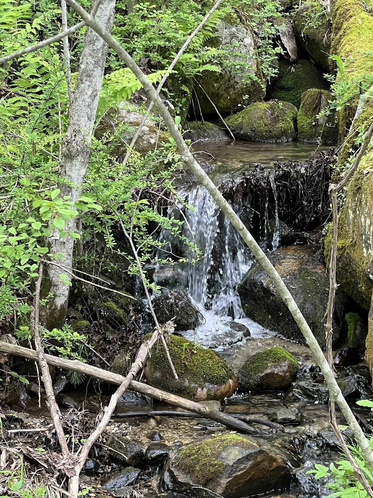 882 Mitchell Road Shrewsbury VT 05738