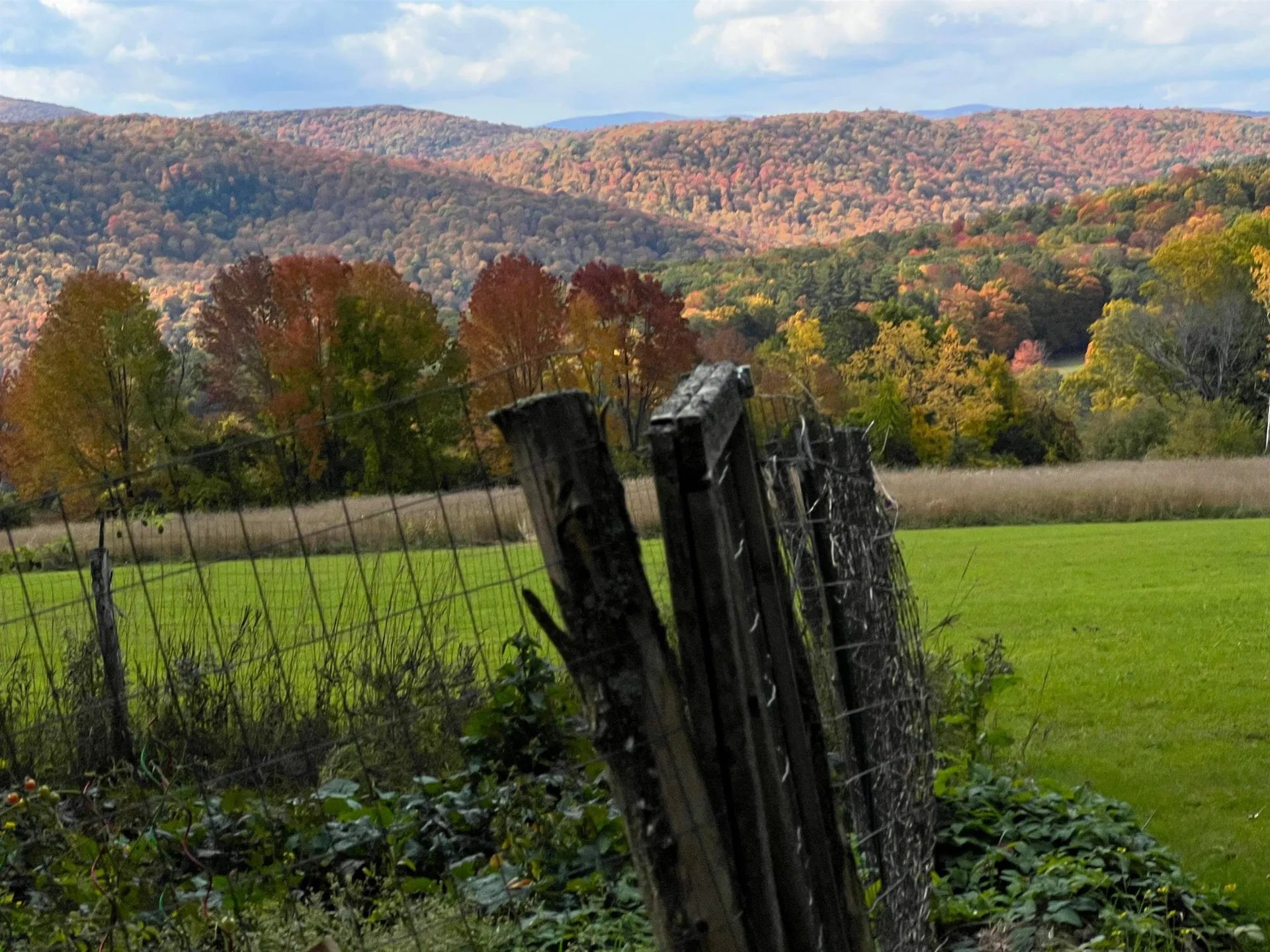 882 Mitchell Road Shrewsbury VT 05738