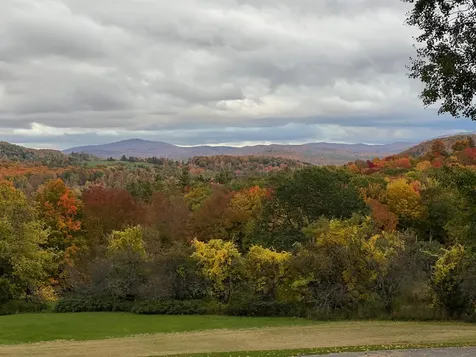 882 Mitchell Road Shrewsbury VT 05738