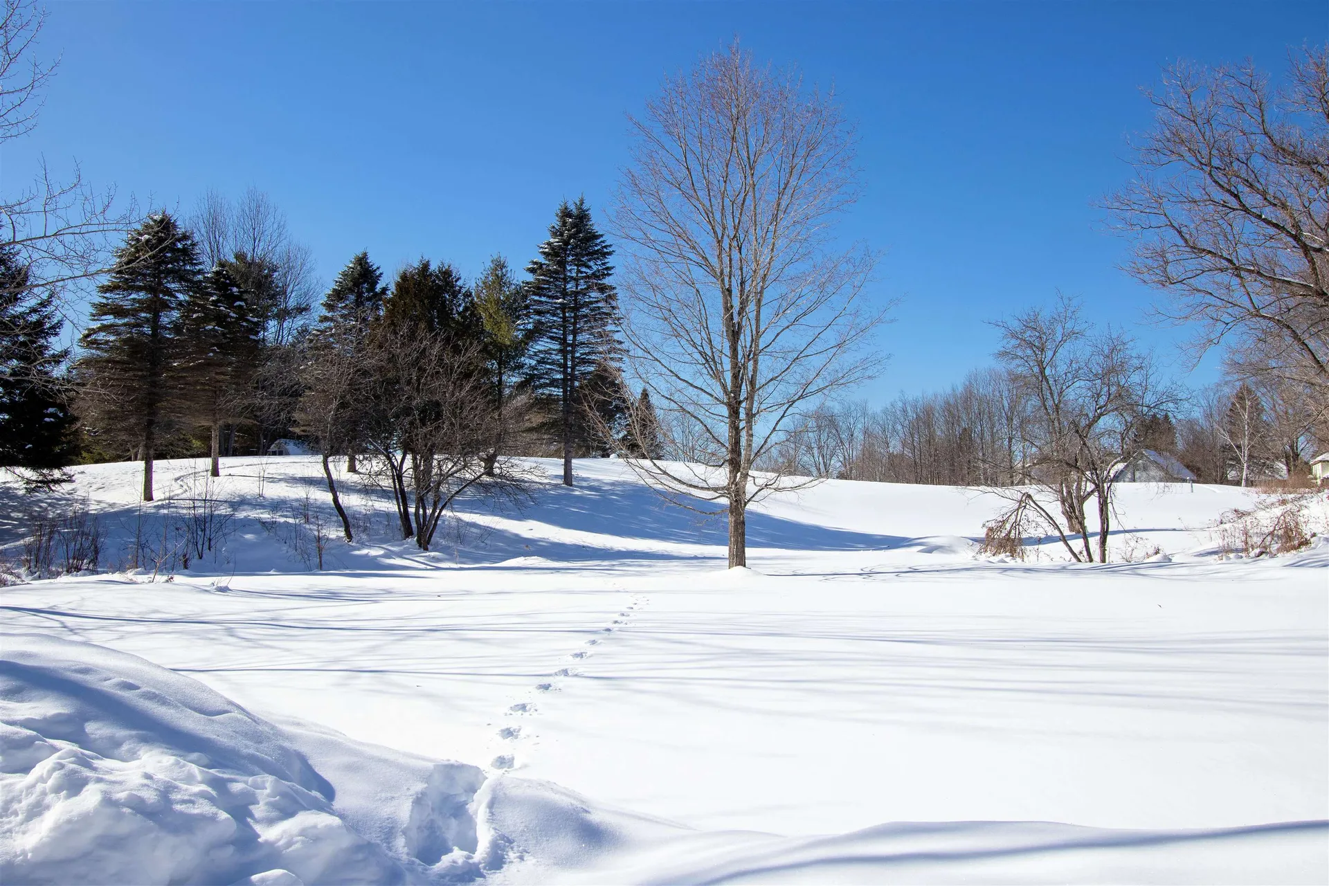 196 Brainerd Street Danville VT 05828