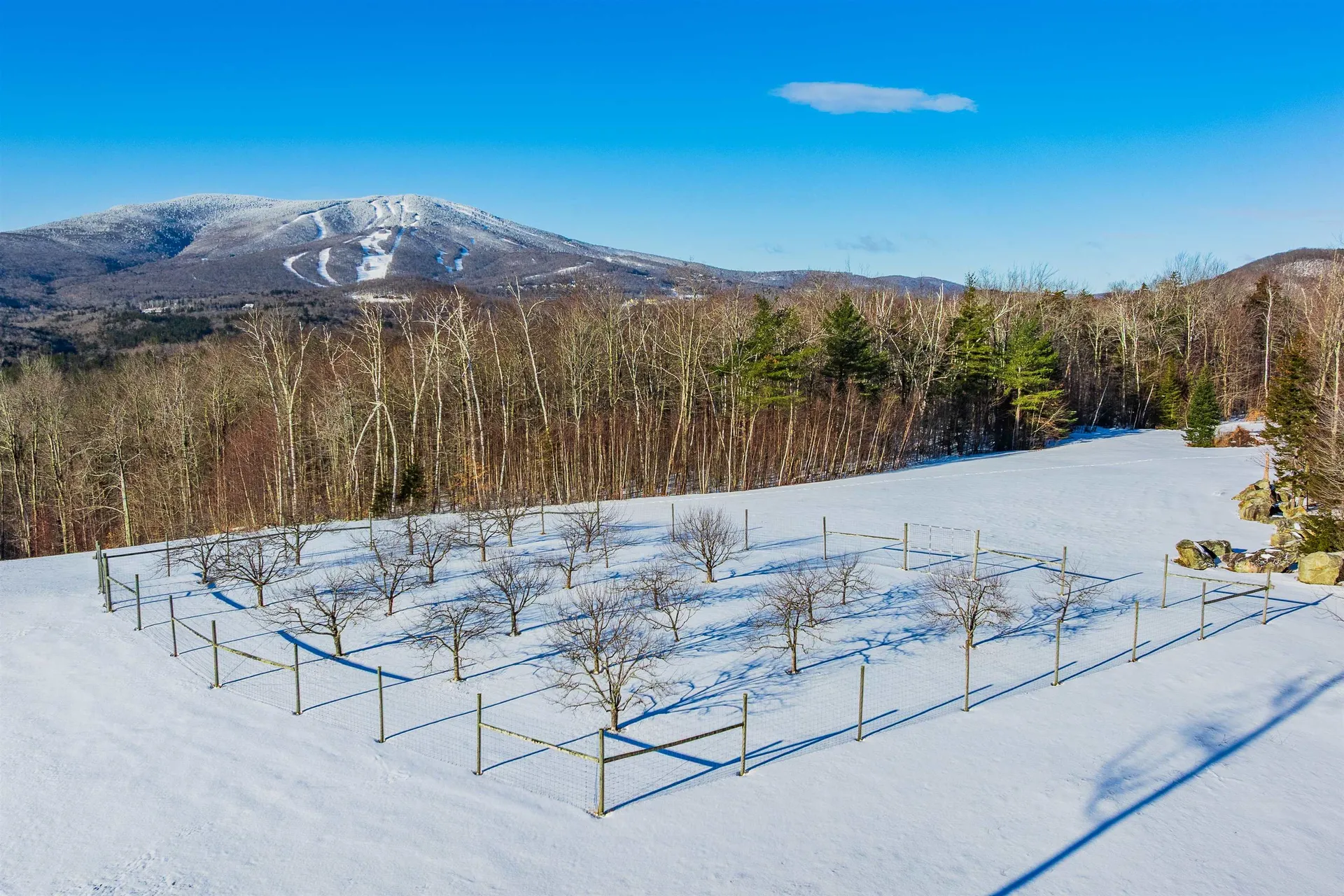 557 Trager Road Jamaica VT 05343