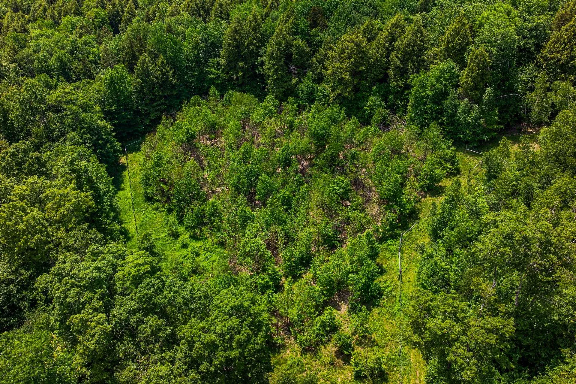 557 Trager Road Jamaica VT 05343