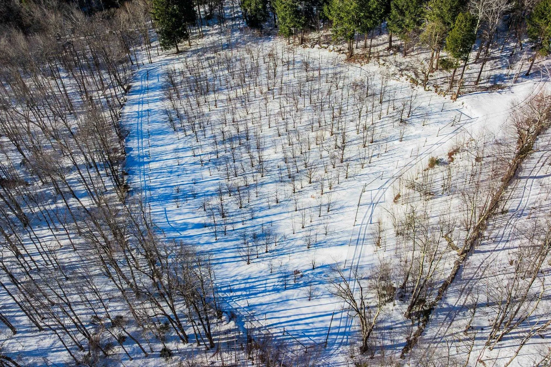 557 Trager Road Jamaica VT 05343