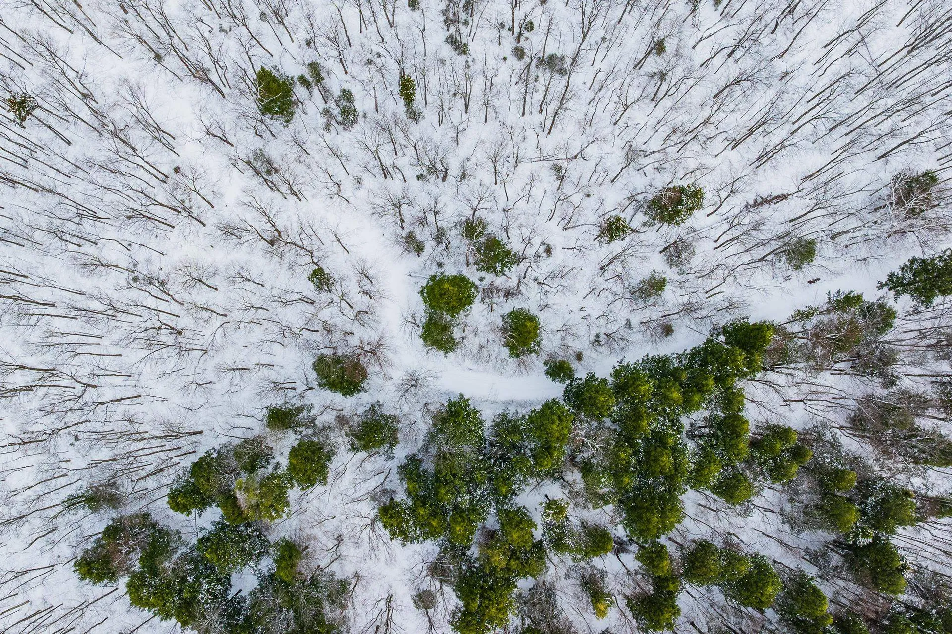 557 Trager Road Jamaica VT 05343