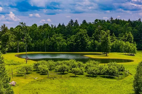 557 Trager Road Jamaica VT 05343