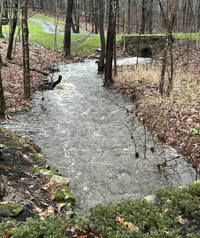 7 Wason Lane Atkinson NH 03811