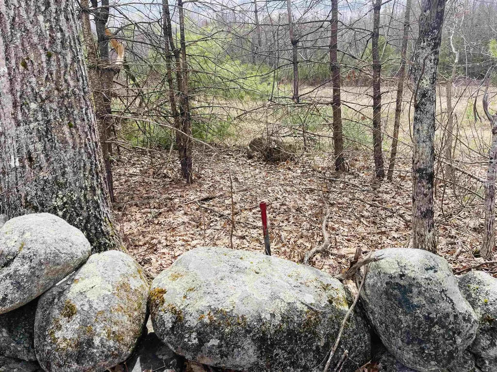 County Road Tuftonboro NH 03816