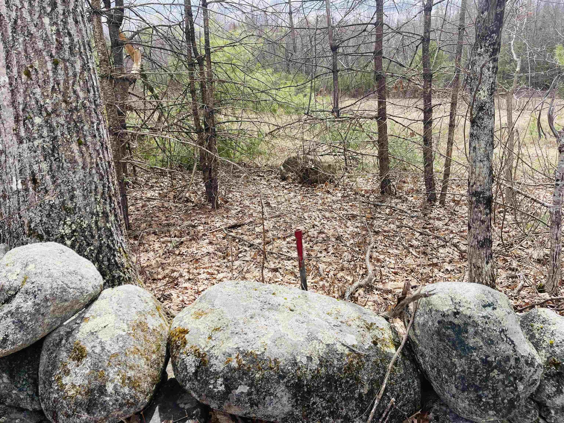 County Road Tuftonboro NH 03816